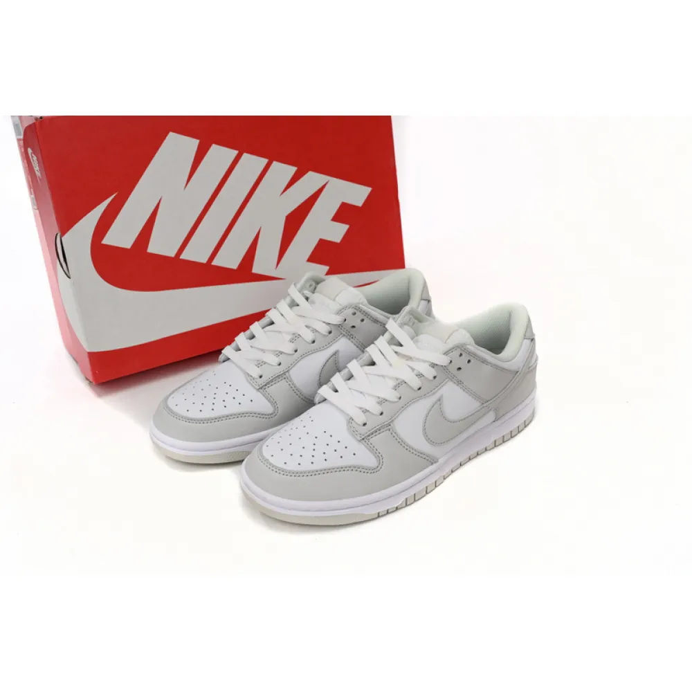 SX Nike Dunk Low Photon Dust