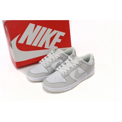 SX Nike Dunk Low Photon Dust 02