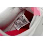 SX Nike Dunk Low pro iso ‘’Summit White and Pink Foam 