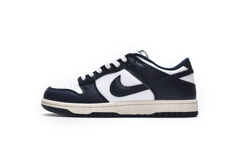 Nike Dunk SB Navy Blue And White