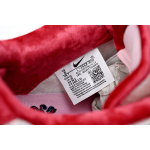 SX Nike SB Dunk Low Pro