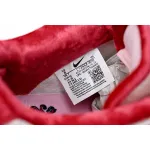 SX Nike SB Dunk Low Pro