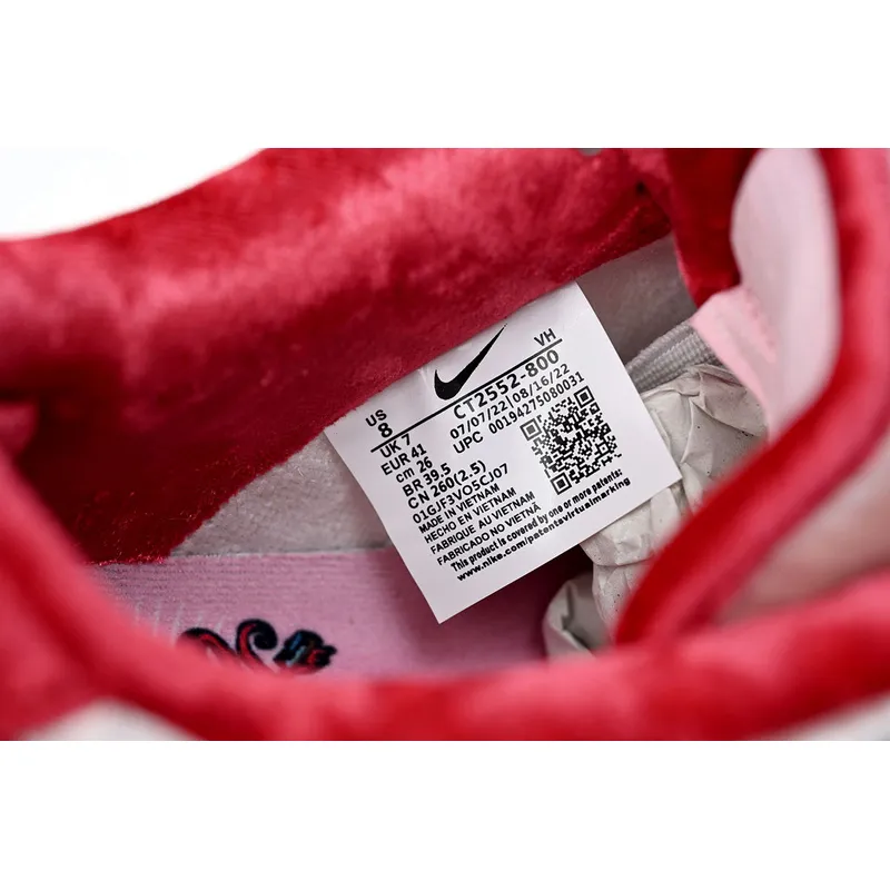 SX Nike SB Dunk Low Pro