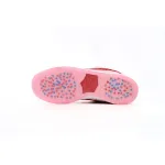 SX Nike SB Dunk Low Pro