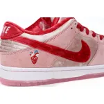 SX Nike SB Dunk Low Pro