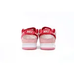SX Nike SB Dunk Low Pro