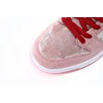 SX Nike SB Dunk Low Pro