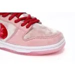 SX Nike SB Dunk Low Pro