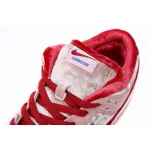 SX Nike SB Dunk Low Pro