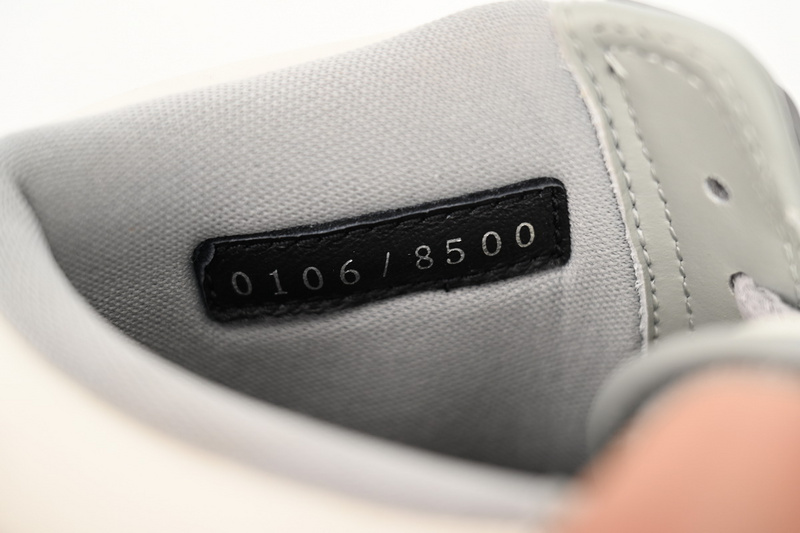 XP Dior x Air Jordan 1 High OG