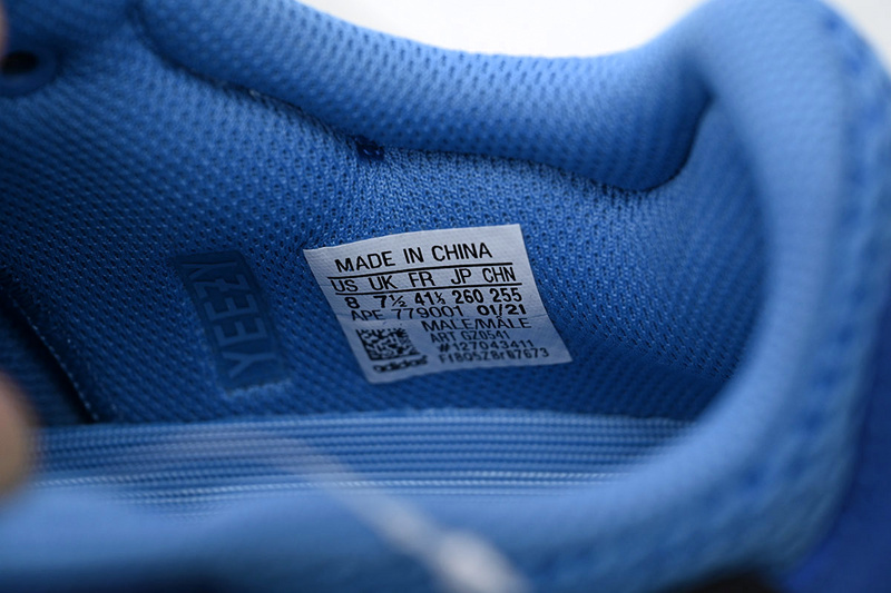 AH Yeezy Boost 700 BRBLUE