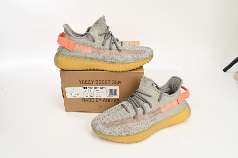 HK Adidas Yeezy Boost 350 V2 True From