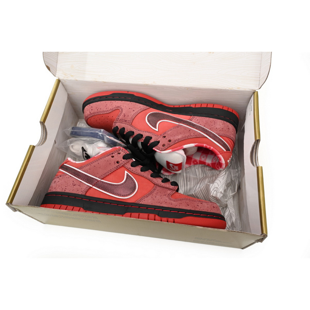 OG Concepts x Nike SB Dunk Low"Red Lobster"