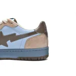 AP Bape Sk8 Sta Low