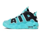 Nike Air More Uptempo Blue and Black Chara Cters