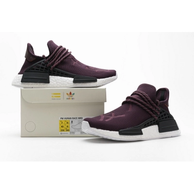 Pharrell Williams x Adidas NMD Human Race Friends & Family Real Boost 02