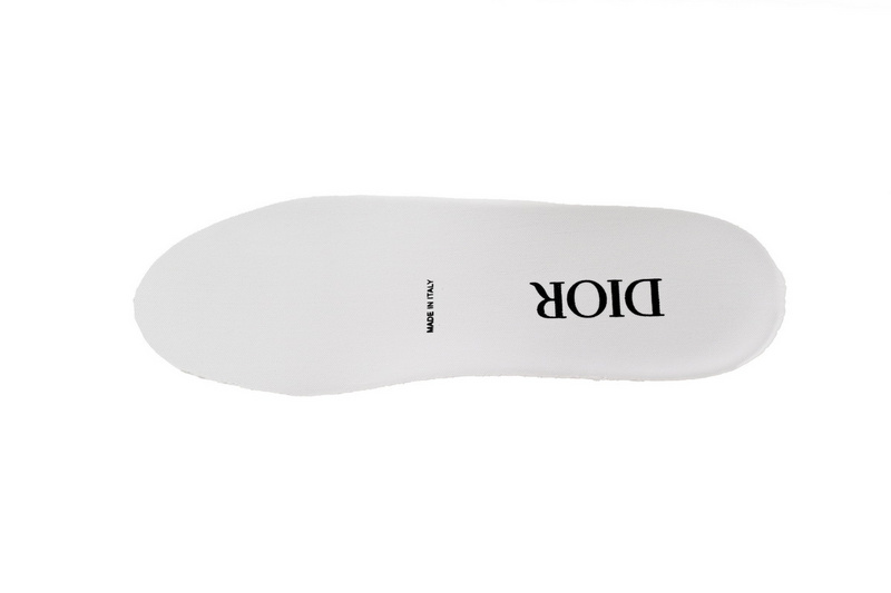 Dior 3SN249YUO Low H069 White