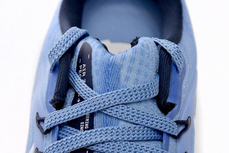 Nike Air Zoom Pegasus 39 Royal Blue White