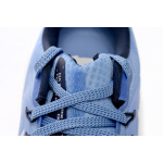 Nike Air Zoom Pegasus 39 Royal Blue White