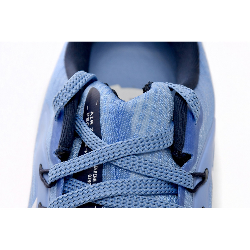 Nike Air Zoom Pegasus 39 Royal Blue White