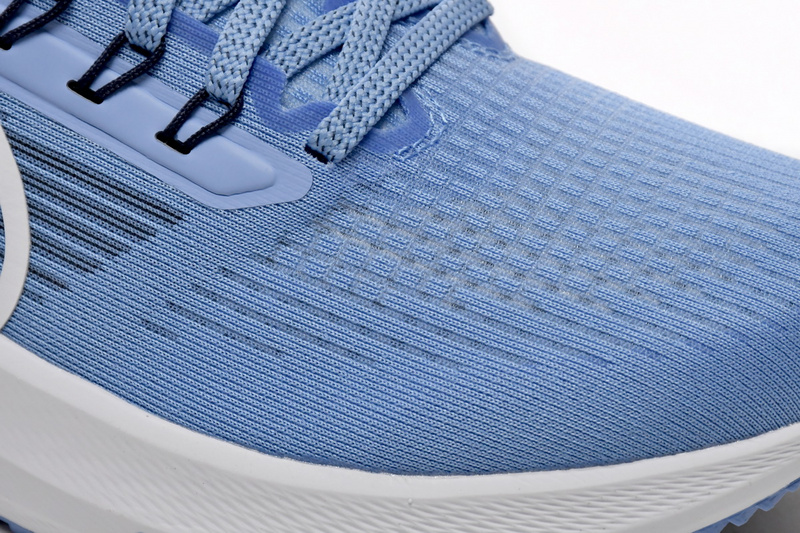 Nike Air Zoom Pegasus 39 Royal Blue White