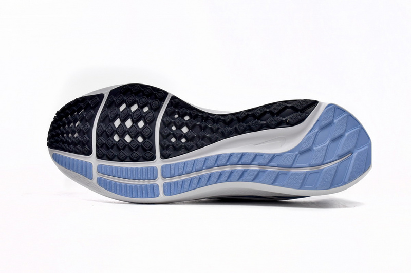 Nike Air Zoom Pegasus 39 Royal Blue White