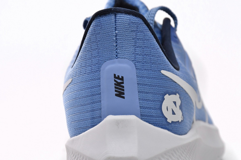 Nike Air Zoom Pegasus 39 Royal Blue White