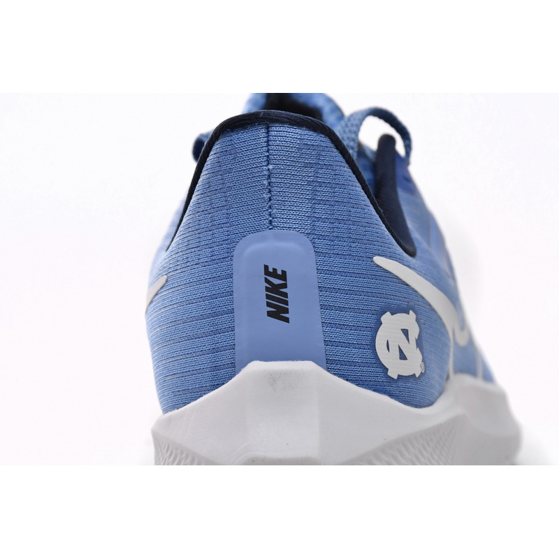 Nike Air Zoom Pegasus 39 Royal Blue White