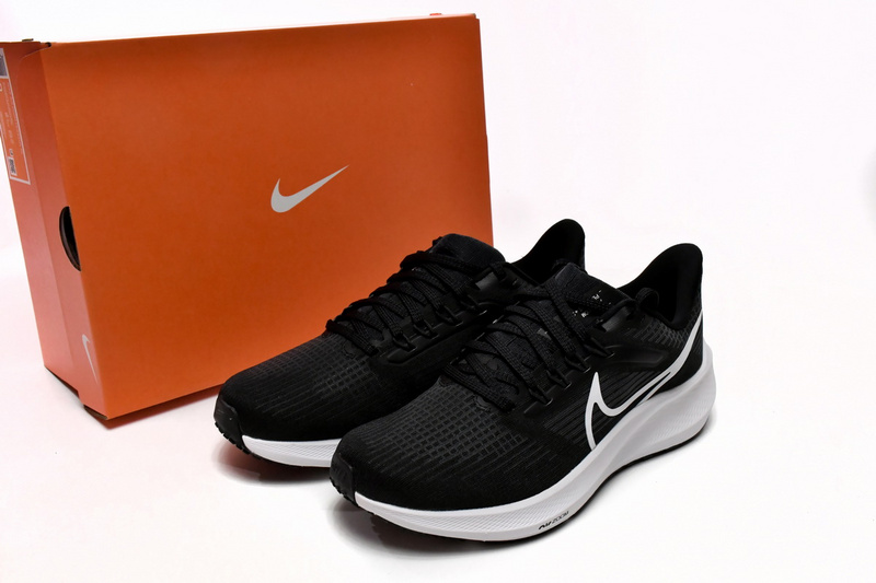Nike Air Zoom Pegasus 39 Black Dark Smoke Grey