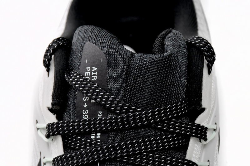 Nike Air Zoom Pegasus 39 Phantom Sail