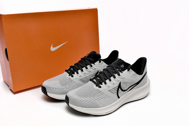 Nike Air Zoom Pegasus 39 Phantom Sail
