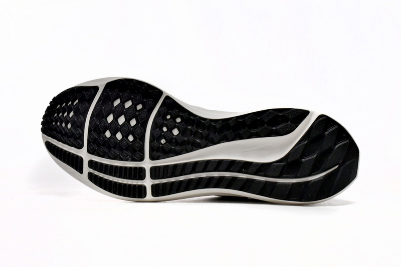 Nike Air Zoom Pegasus 39 Phantom Sail