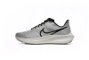 Nike Air Zoom Pegasus 39 Phantom Sail