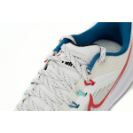 Nike Air Zoom Pegasus 39 White Blue Red