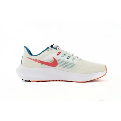 Nike Air Zoom Pegasus 39 White Blue Red