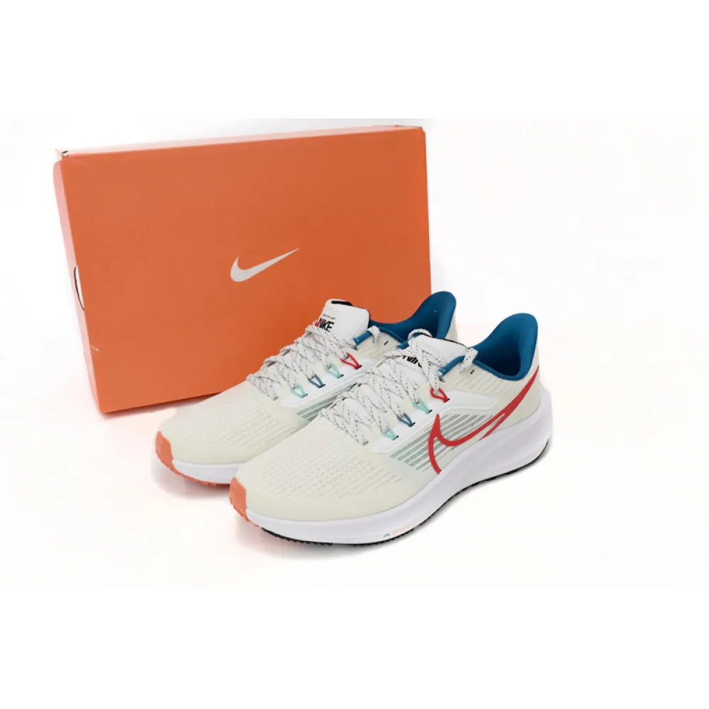 Nike Air Zoom Pegasus 39 White Blue Red