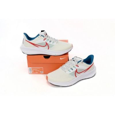 Nike Air Zoom Pegasus 39 White Blue Red 02