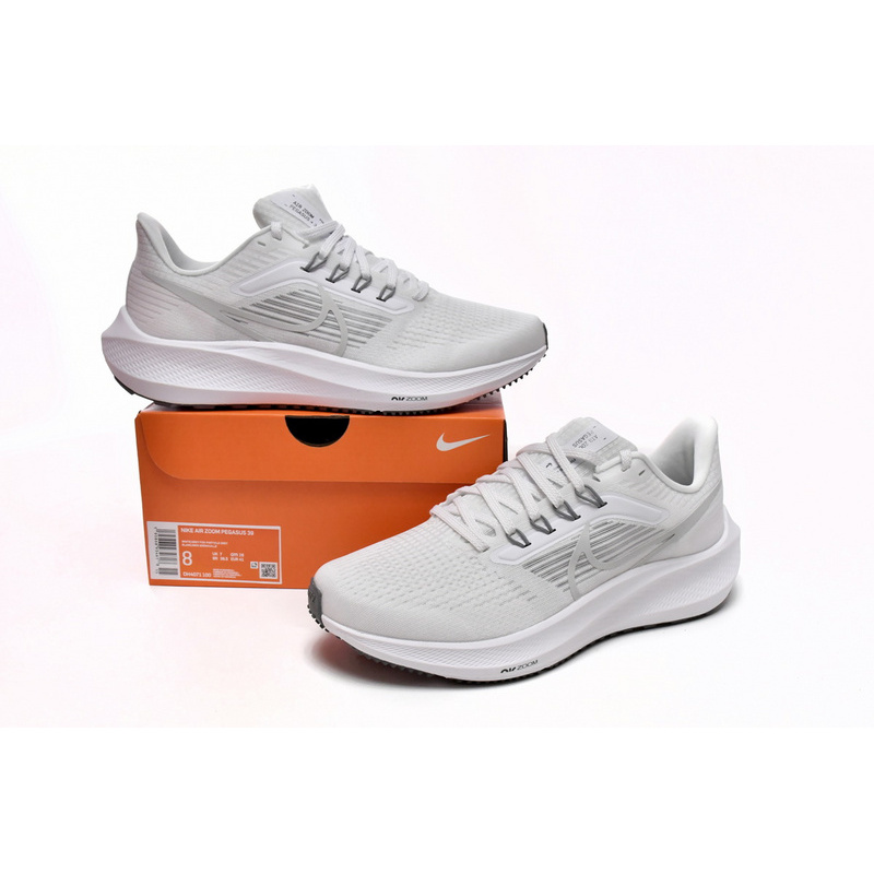 Nike Air Zoom Pegasus 39 White Grey Fog