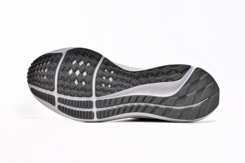 Nike Air Zoom Pegasus 39 White Grey Fog