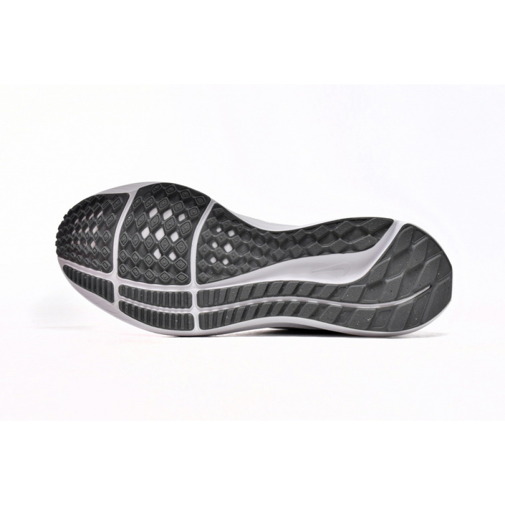 Nike Air Zoom Pegasus 39 White Grey Fog