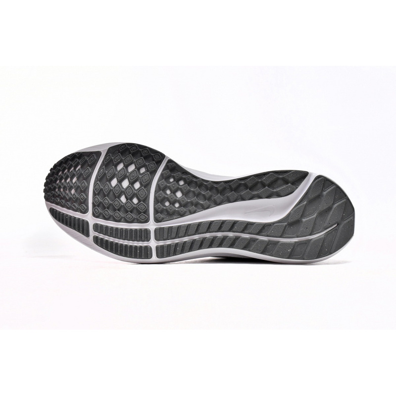 Nike Air Zoom Pegasus 39 White Grey Fog