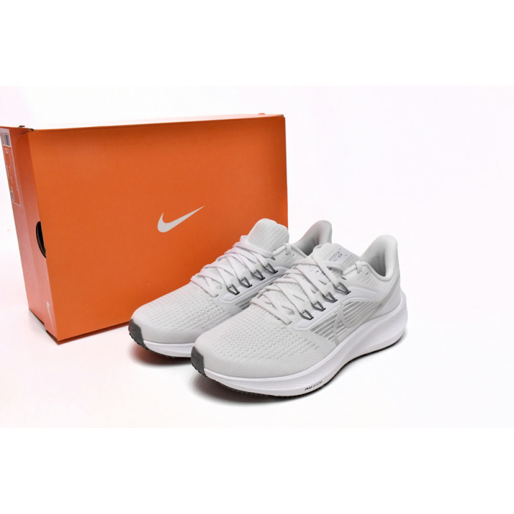 Nike Air Zoom Pegasus 39 White Grey Fog