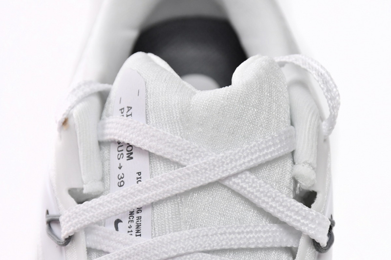 Nike Air Zoom Pegasus 39 White Grey Fog