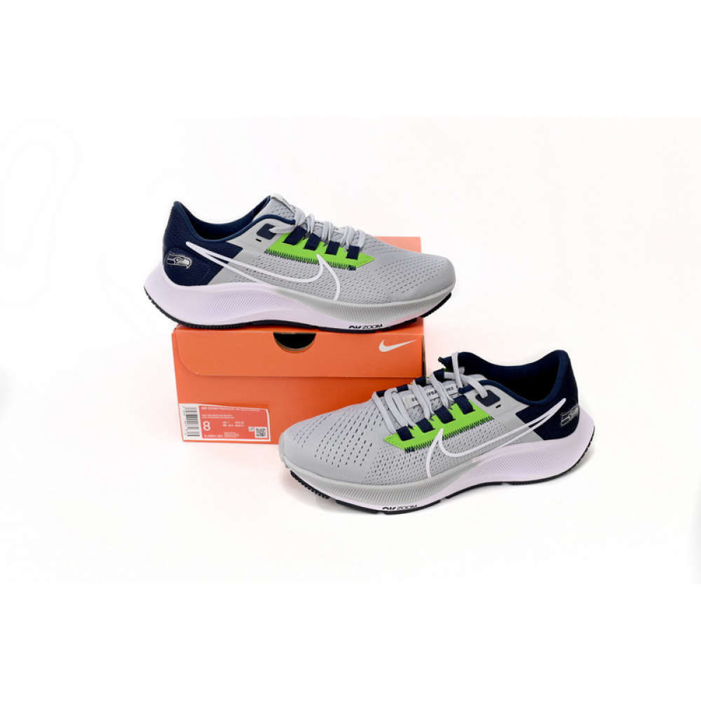 Nike AIR ZOOM PEGASUS 38 Grayish Blue