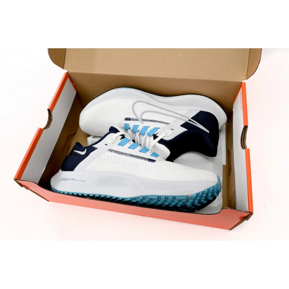 Nike AIR ZOOM PEGASUS 38 White Blue Tail