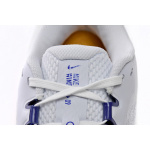 Nike Air Winflo 9 Grey Concord