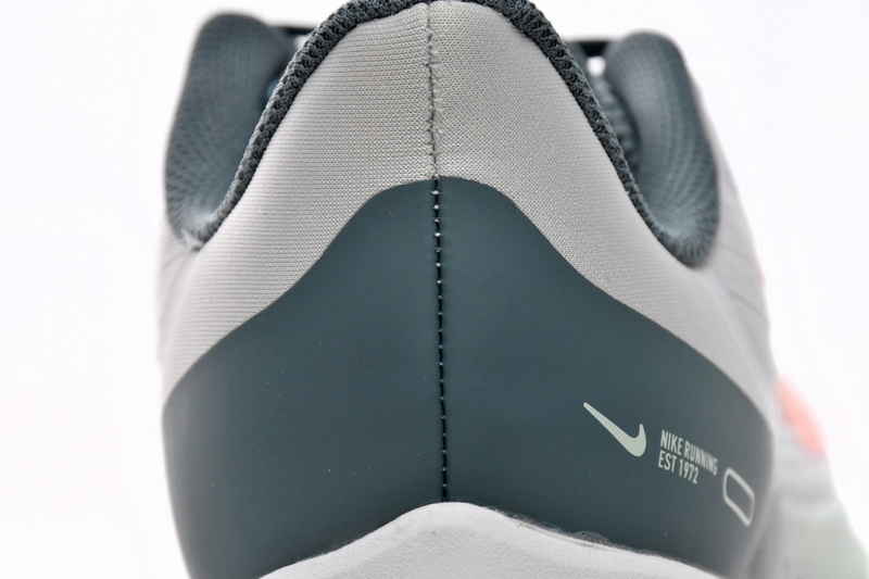 Nike Air Winflo 9 Pure Platinum Mineral