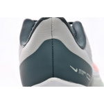 Nike Air Winflo 9 Pure Platinum Mineral