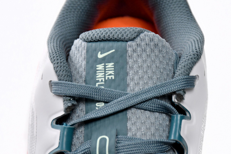 Nike Air Winflo 9 Pure Platinum Mineral