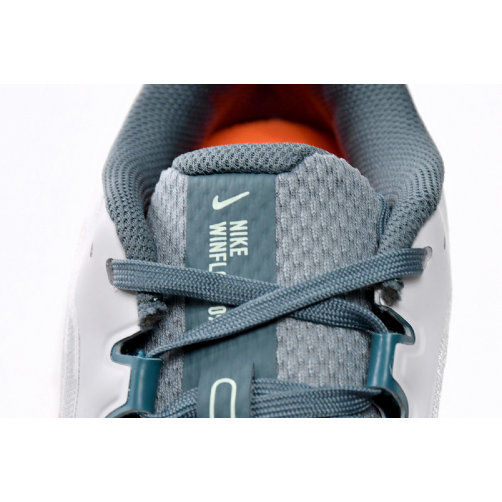 Nike Air Winflo 9 Pure Platinum Mineral